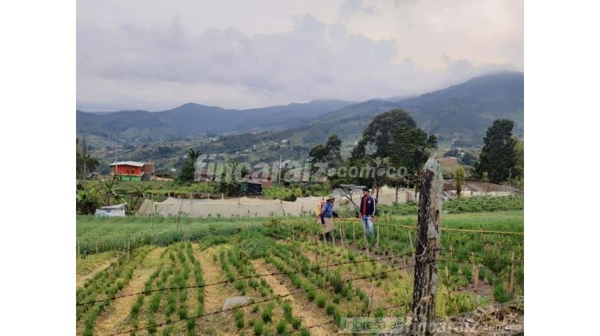 Lote en Venta - Visning 2