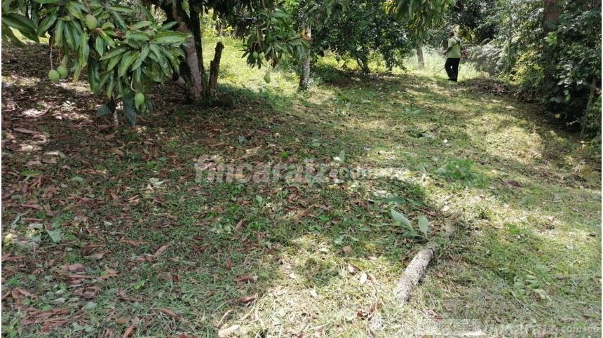 Finca en Venta - Bild 6