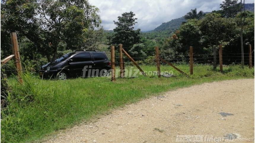 Finca en Venta - Bild 2