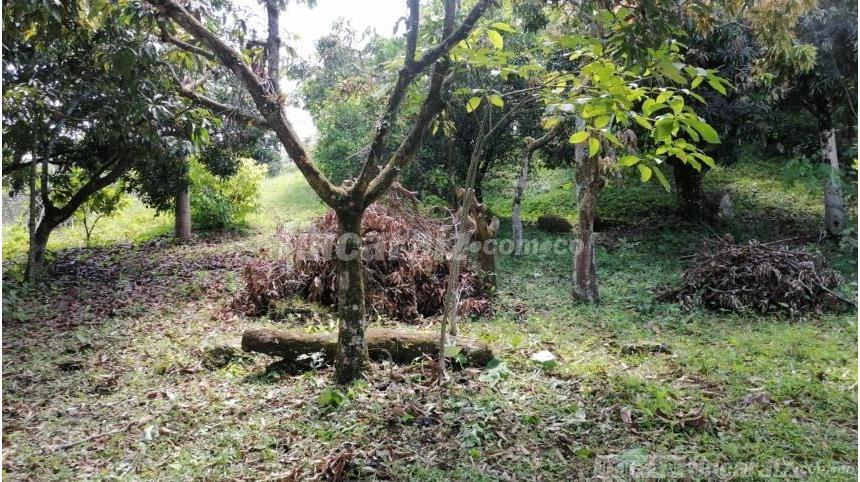 Finca en Venta - Bild 3