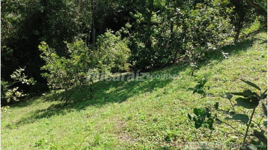 Finca en Venta - Bild 4
