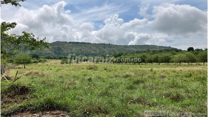 Finca en Venta - Skats 4