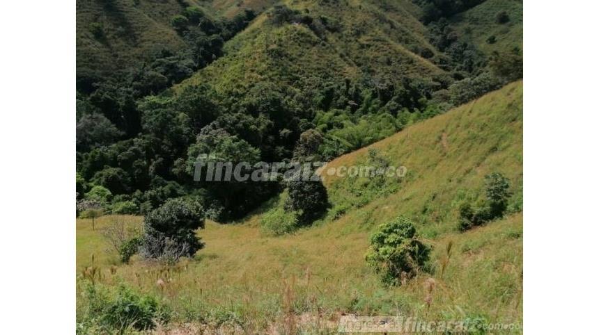 Finca en Venta – pohled 3