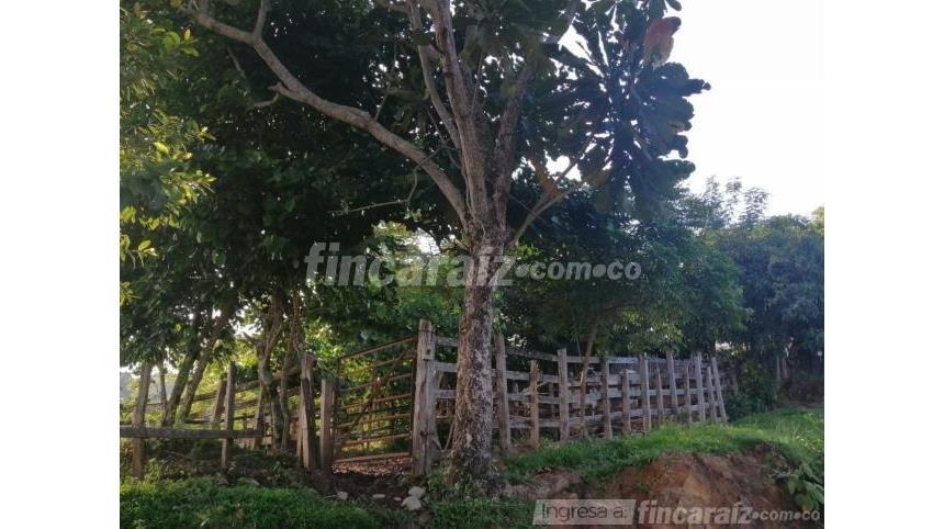Finca en Venta – pohled 4
