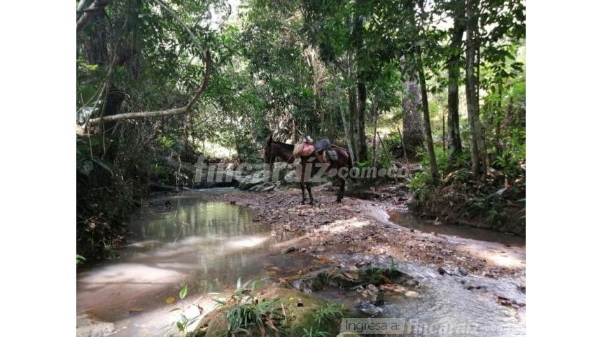 Finca en Venta – pohled 5