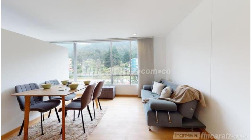 Piso – Bogotá, Pardo Rubio