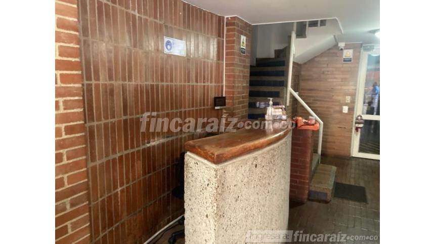 Piso – Bogotá, Pardo Rubio - Más