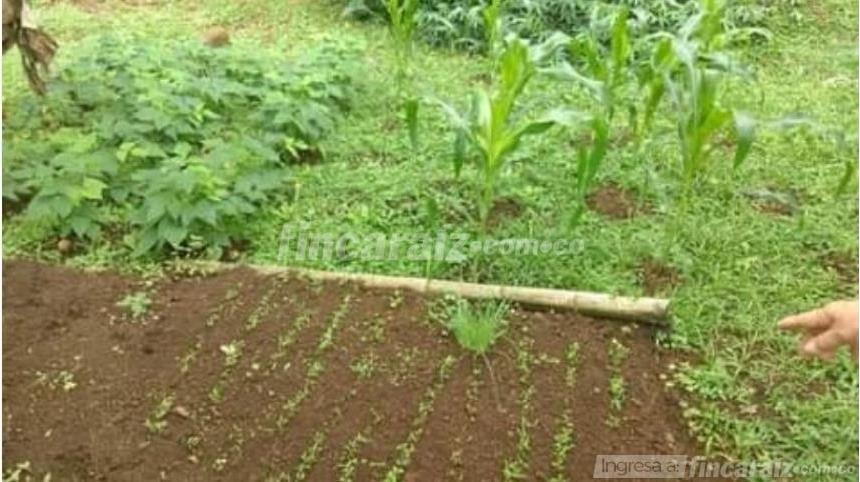 Finca en Venta – pohled 4