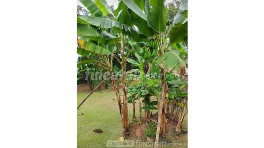 Finca en Venta – pohled 5