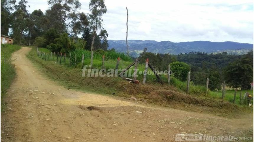 Finca en Venta