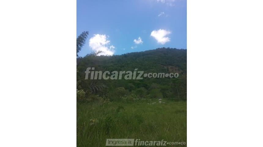 Finca en Venta - Pohľad 3