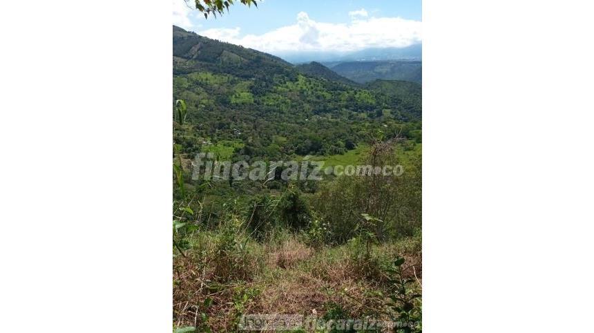 Finca en Venta - Pohľad 5