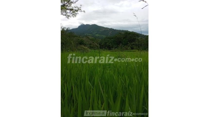 Finca en Venta - Pohľad 6