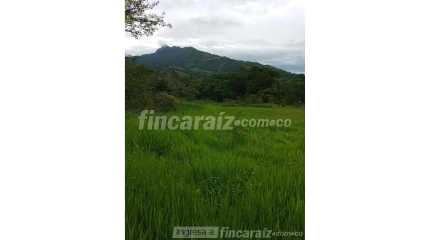 Finca en Venta - Pohľad 2