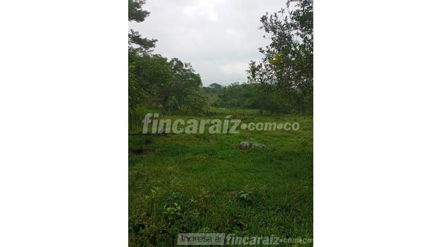 Finca en Venta - Viac