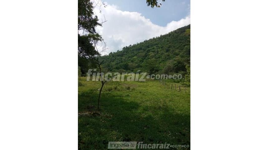 Finca en Venta - Pohľad 4