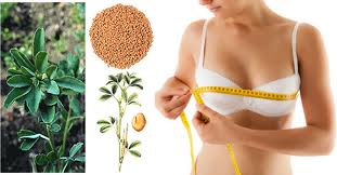 Belleza natural: consumir estos 10 alimentos hacen crecer los pechos