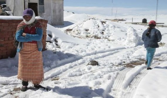 Gobierno declara en emergencia 122 distritos por heladas y nevadas