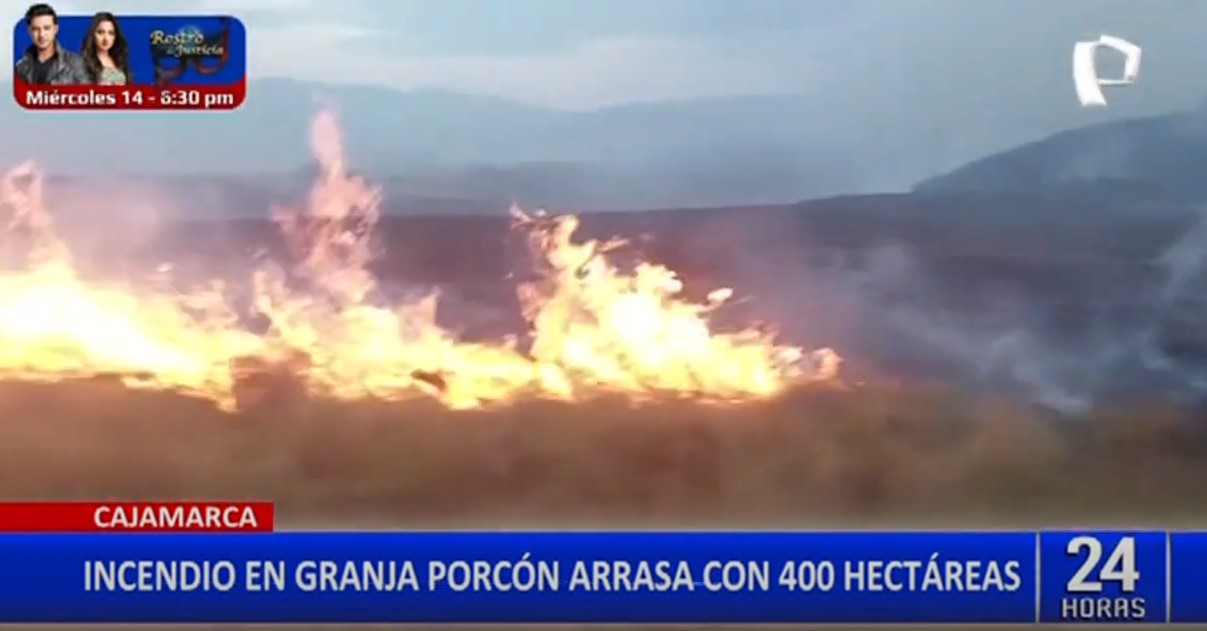 Cajamarca: incendio forestal amenaza Granja Porcón