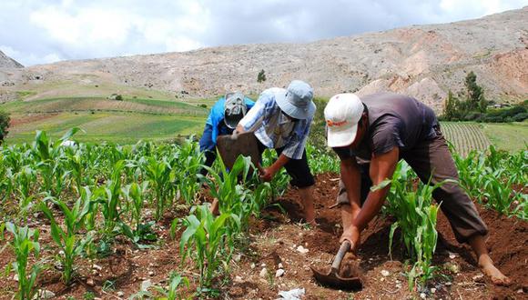 Compra de urea: Prime Charters International gana la licitación y proveerá más de 44,000 toneladas al Perú