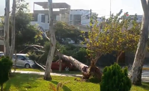 Impactantes imágenes muestran efectos de fuertes vientos en Lima: Continuarán hasta el domingo
