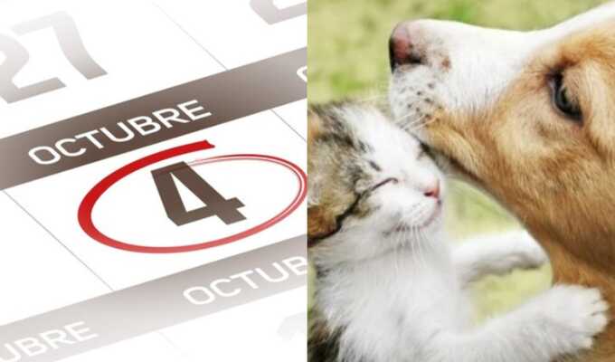 ¿Sabías que el 4 de octubre se celebra el Día Mundial del Animal? Aquí te contamos todo