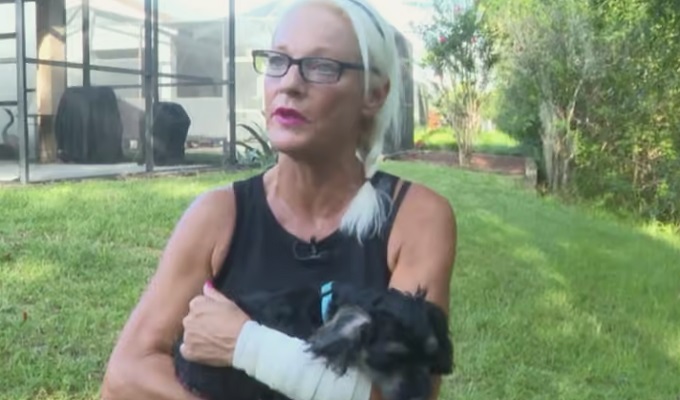 Estados Unidos: mujer golpea a un caimán para salvar a su perrito y sobrevive al ataque