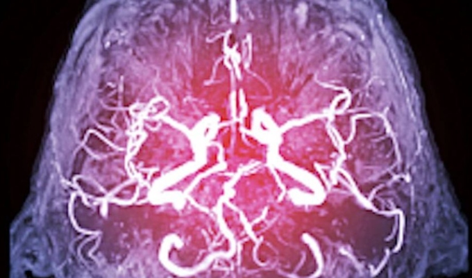 Las emociones refuerzan la memoria: un hallazgo revela cómo el cerebro decide qué recordar