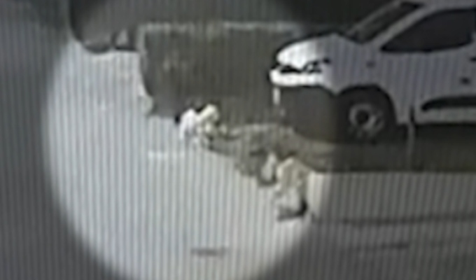 Denuncian asesinatos de perros con balines en condominio de Chorrillos: vecinos exigen justicia