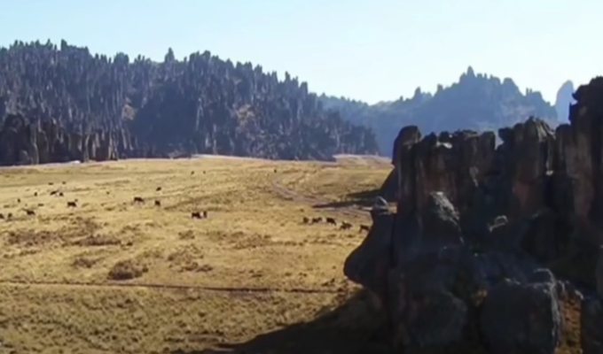 Delincuentes disfrazados de policías secuestran a trabajadores de minera en Pasco