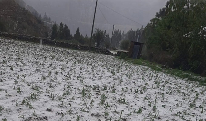 Intensa granizada deja cultivos destruidos y viviendas dañadas en varios distritos de Ayacucho