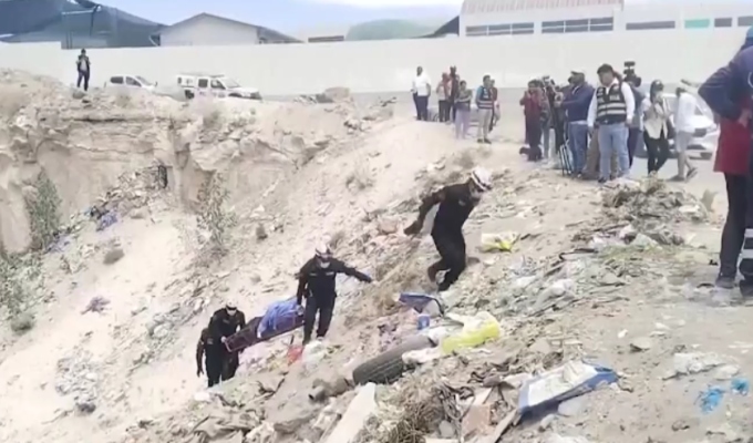 Restos de joven desaparecido eran devorados por perros: habría sido pepeado tras salir de discoteca