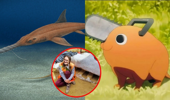 Descubren especie prehistórica de tiburón sierra y la nombran en honor a Pochita de Chainsaw Man