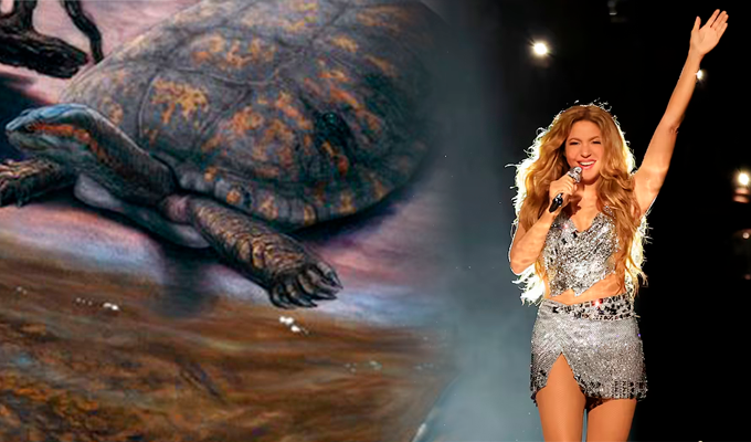 Científicos colombianos presentan Shakiremys colombiana, la tortuga fósil que rinde homenaje a Shakira