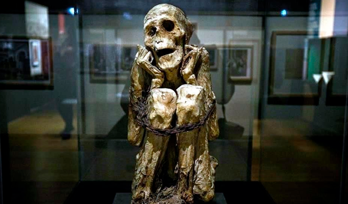 París exhibe al icónico “hombre de Chachapoyas” en muestra internacional