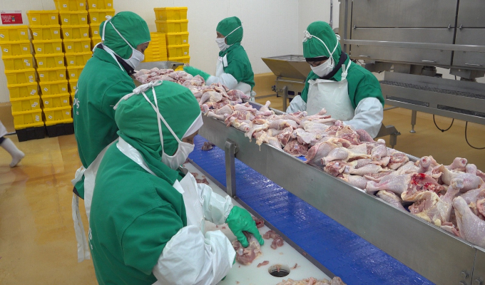 Perú afianza sus exportaciones de carne de aves con nuevos establecimientos autorizados