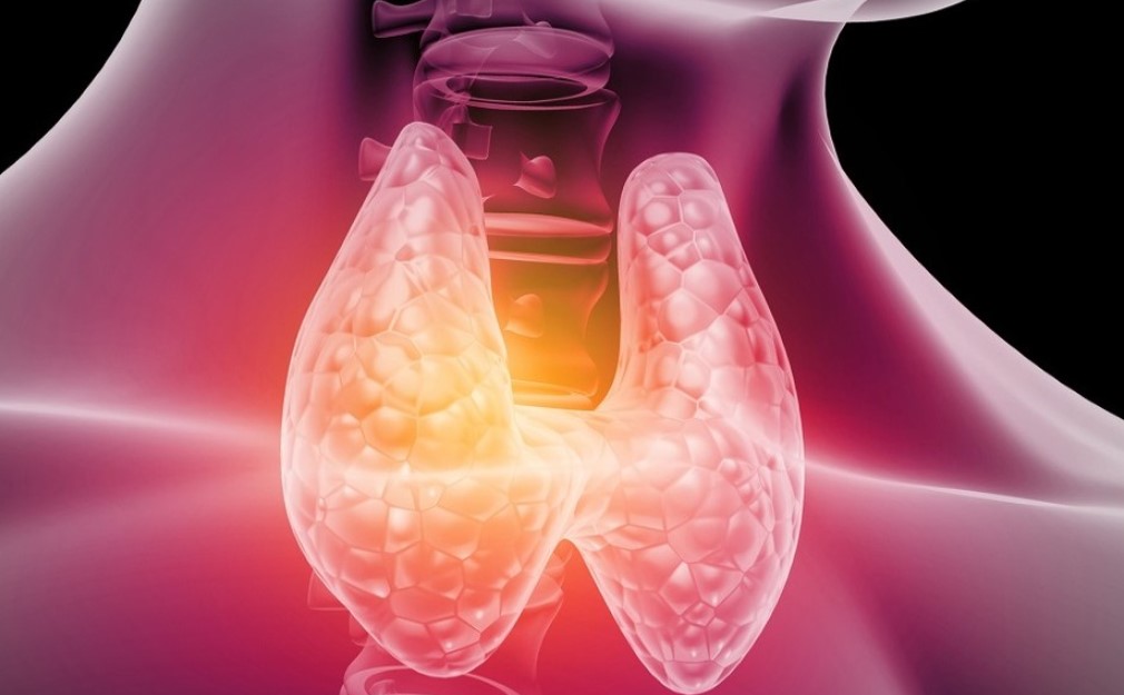 Tiroides Móvil 2.0 recorrerá el Perú para evaluar deficiencia de yodo en la población