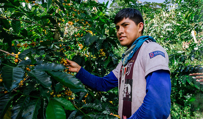 MIDAGRI y socios estratégicos se unen a la implementación del seguro agrícola “Café Seguro Perú”