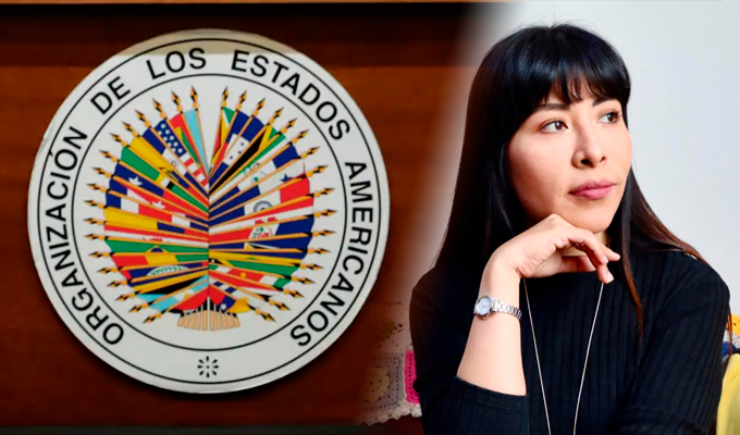 Perú pedirá a la OEA opinión jurídica sobre el asilo diplomático