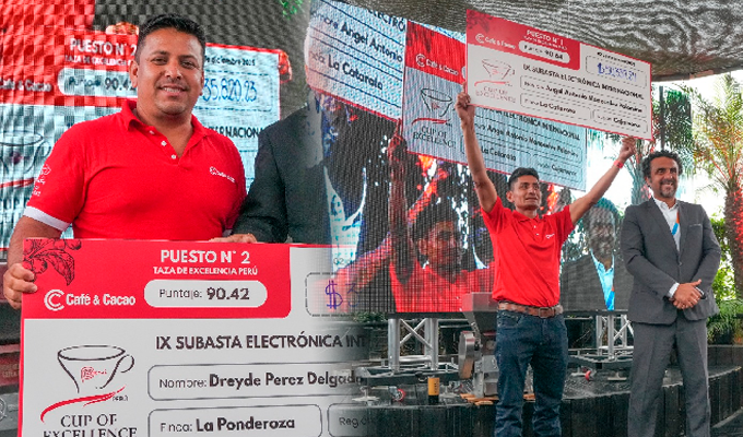 Taza de Excelencia Per&uacute; 2025 rompe r&eacute;cord hist&oacute;rico: Subasta Internacional supera US $490 mil, la cifra m&aacute;s alta desde su creaci&oacute;n