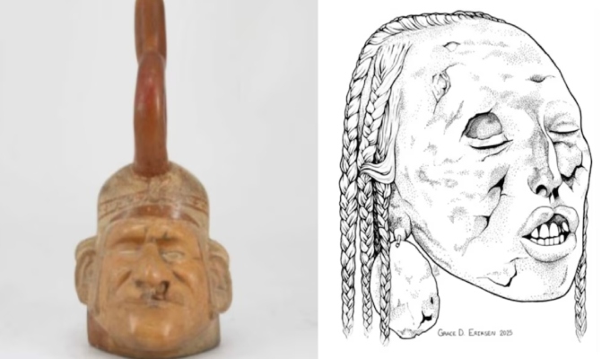 Misteriosa cabeza trofeo hallada en Francia reabre debate sobre los rituales de Paracas y un inusual rasgo facial