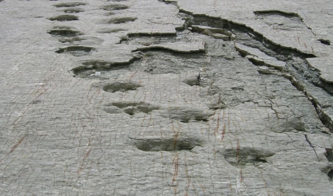 El mayor registro del planeta en Bolivia: hallan en Toro Toro más de 16 mil huellas de dinosaurios