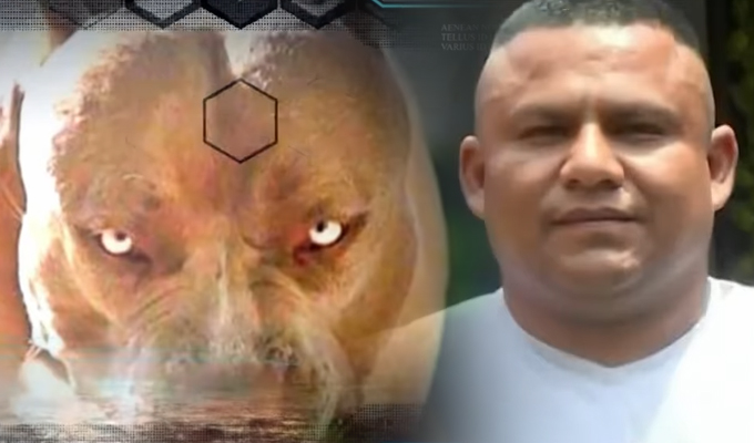 Oficio extremo: Esta es la historia del rehabilitador de perros agresivos