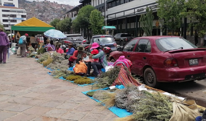 Serfor exhorta a no usar musgo en nacimientos y proteger ecosistemas en fiestas navideñas