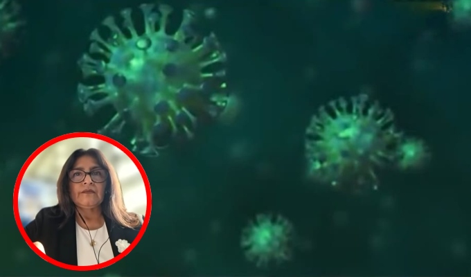 Influenza AH3N2 en Perú: pacientes contagiados están estables y han sido dados de alta