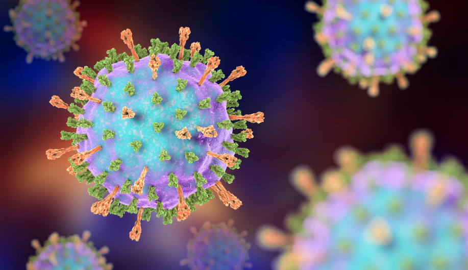 Variante K de la influenza A H3N2: por qué muta con rapidez y obliga a renovar vacunas cada año