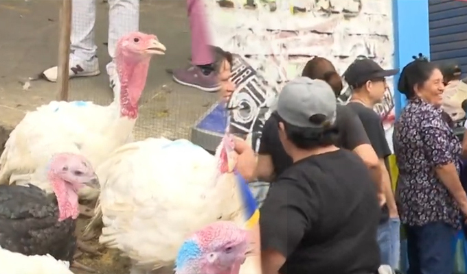 Familias abarrotan mercados en busca de pavo, lechón y aderezos para la cena navideña