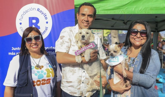 Adoptatón 2025: Gobierno promoverá jornada de adopción de mascotas rescatadas este domingo