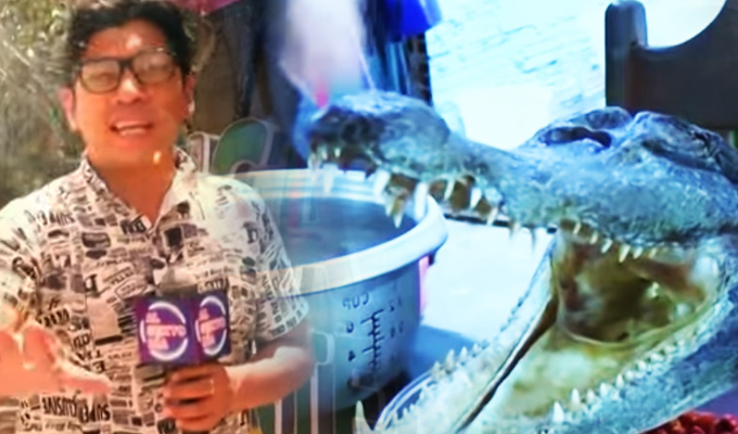 Pucallpa extrema y todo el intenso sabor de su exótica gastronomía