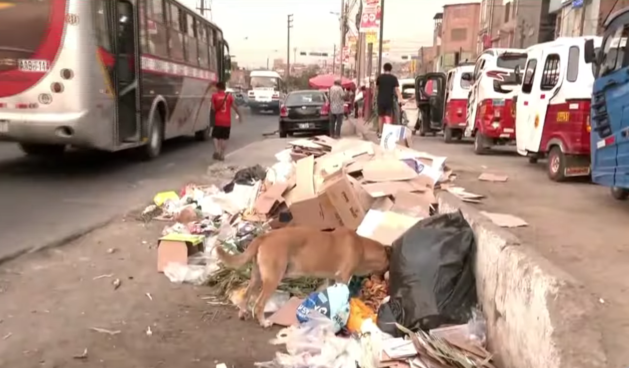 Minsa declara riesgo sanitario en Carabayllo por acumulación de basura
